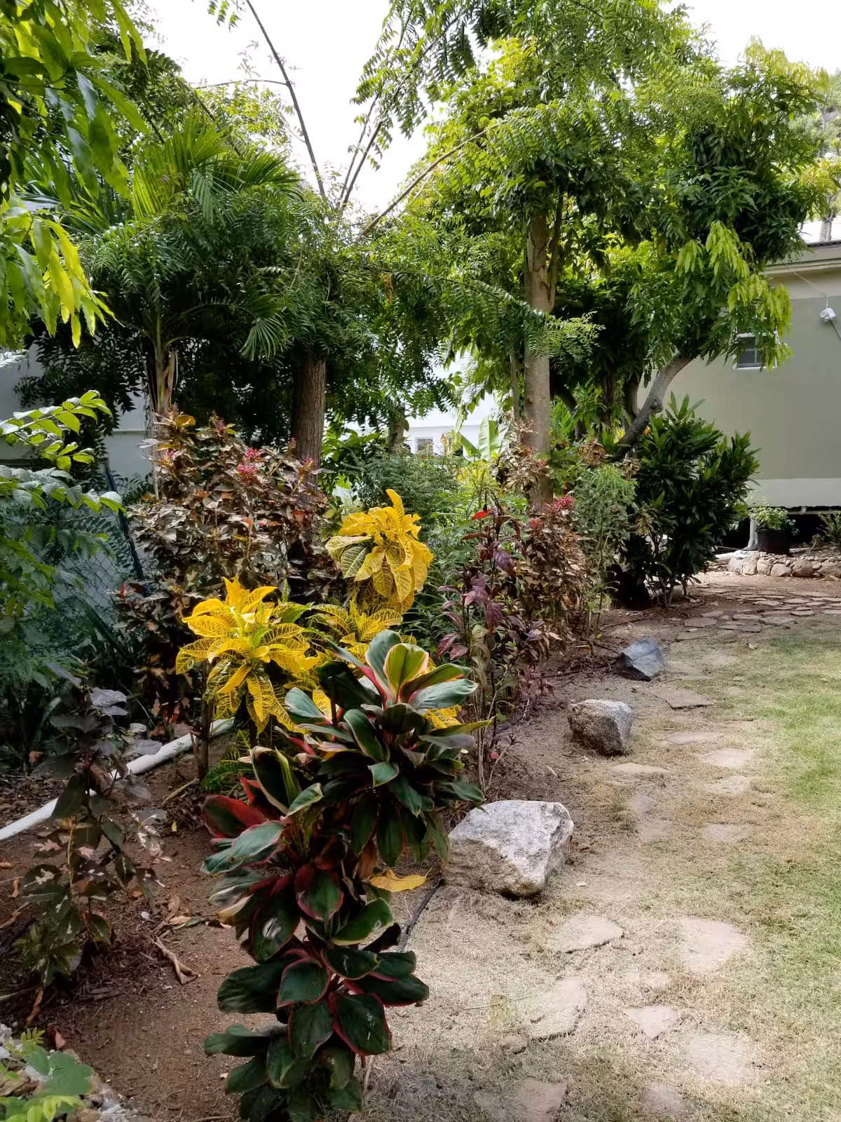 Backyard garden